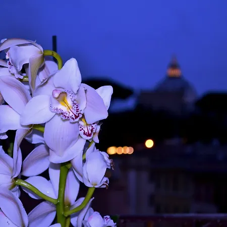 Notti Al Vaticano Deluxe St.peter's Rome